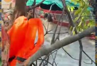 SB Karya Budi Utama Yang Tenggelam Di Pulau Busung